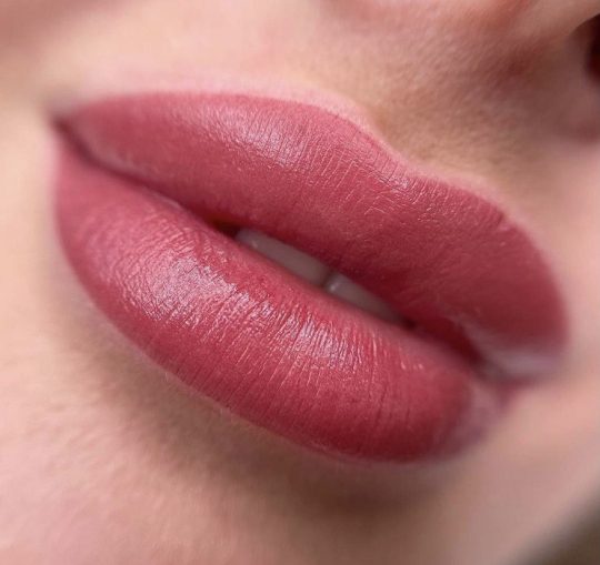 PMU_LIPS_portfolio_gl_742x700 Перманентный макияж и татуаж губ — процедура в центре косметологии ETALON